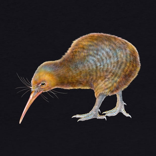 Kiwi by Tim Jeffs Art